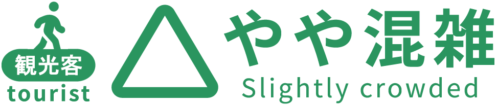 観光客 やや混雑